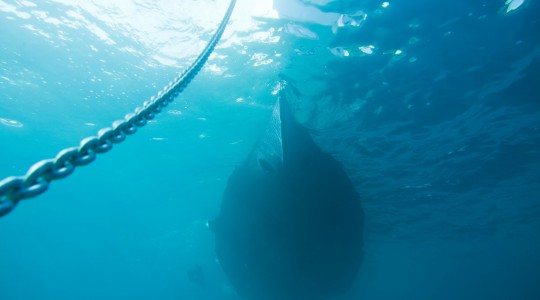 menorquin_42_ht_foto_catalogo_sasga_yachts_menorquin_42_ht_05_fondear_ancla.jpg